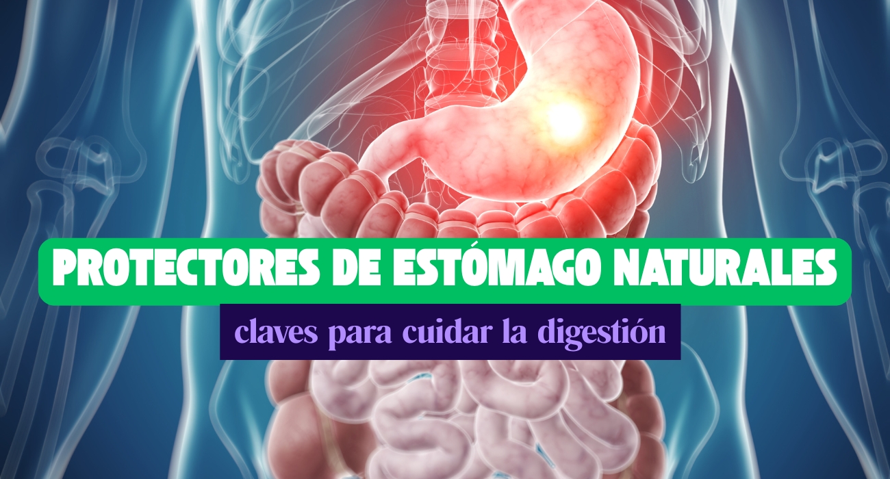 Protectores de estómago naturales: claves para cuidar la digestión